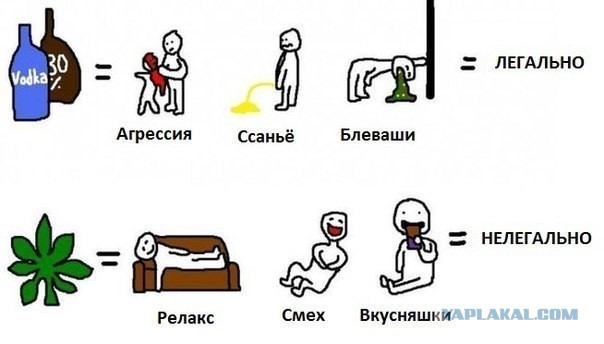 Законные клубы марихуаны в Вашингтоне и Колорадо