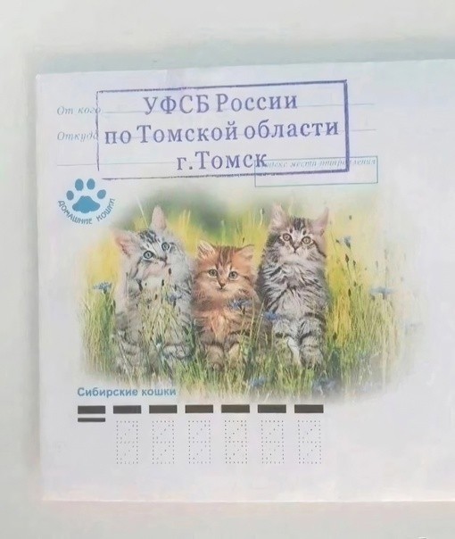 Весёлый полтишок 13.05 24