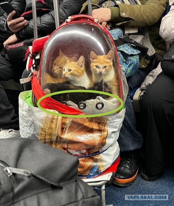Космонавты в метро