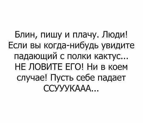 Так себе картинки 26.11.24