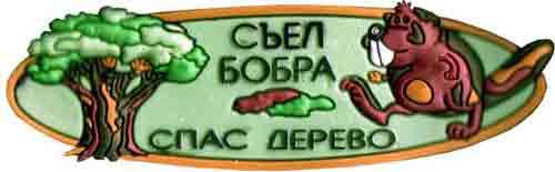 Его усыновили в раннем детстве, но инстинкт строить плотины никуда не делся