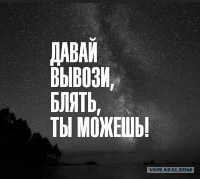 В 2025 году правительство запустит в Россию на 70 тысяч больше гастарбайтеров