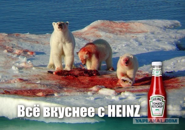 Шашлык по-студенчески