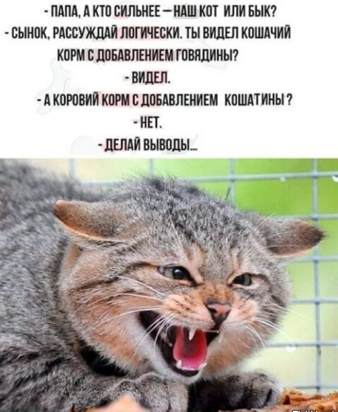 Веселые картинки в последний день января (31.01)