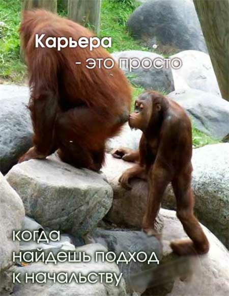 Так себе картинки 23.02.25