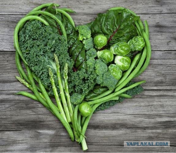 Ну вот так ответил