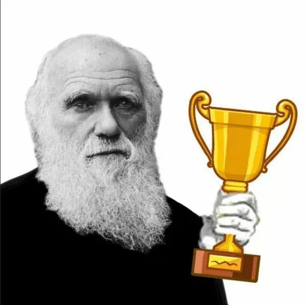 В Румынии медведь растерзал итальянского туриста после селфи с ним