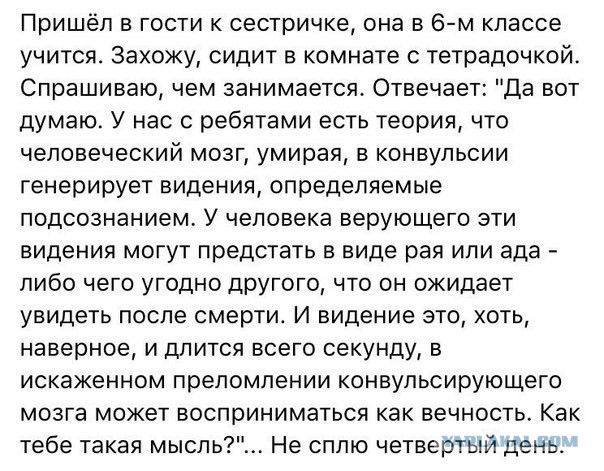 Соточка. Внеплановая. Дичь.