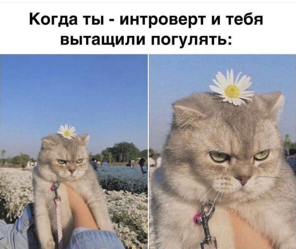 Всякое разное.
