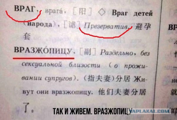 Картинки для деградации 9 (разной степени свежести)