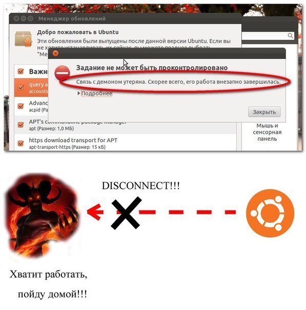 Жизнь домашнего приюта для котеек 560