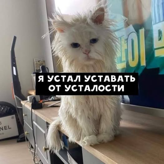 Веселые картинки в ненастоящую пятницу (31.10)