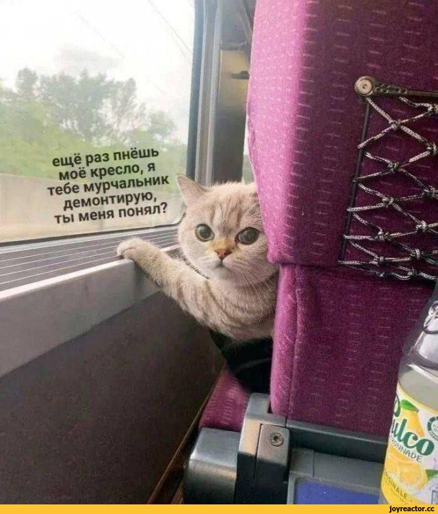 Держитесь за поручень блин!