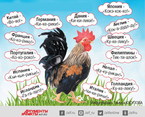 Звучит забавно