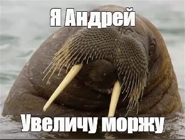 Полиция накрыла сеть подпольных типографий с доходом более 2,6 млрд рублей.