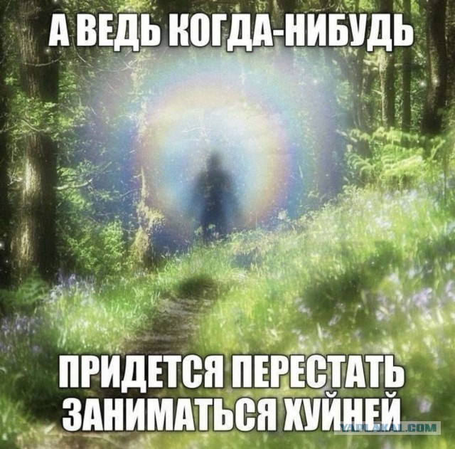 Веселые картинки _)