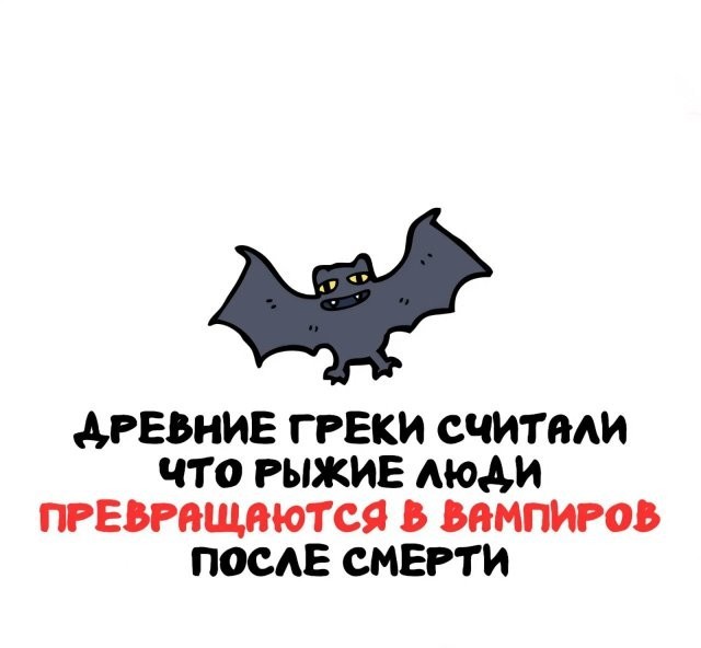 Интересные и короткие факты на все случаи жизни 05.01.26