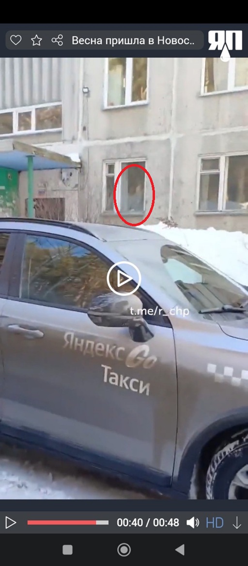 Весна пришла в Новосибирск