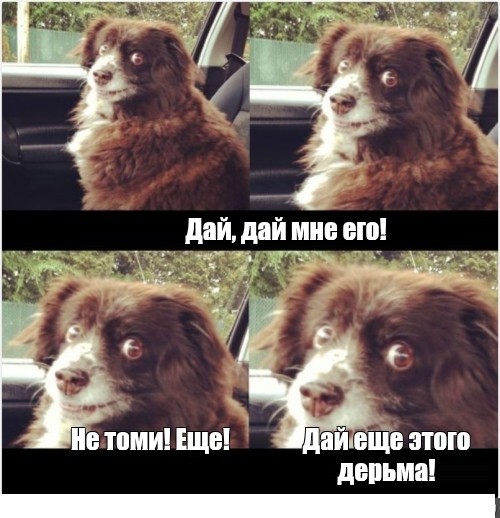Нечто на ночь