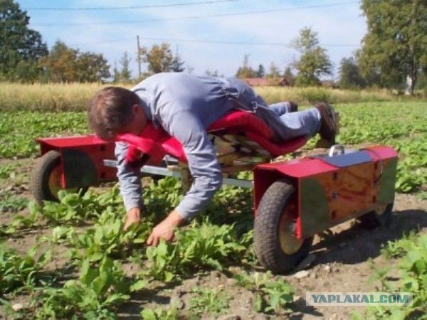 Мы с котом делаем механику агророботов