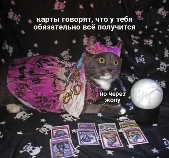 Говно, жопа. Сборник боянов на заданную тему