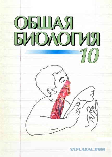 Ну, кто дорисует?