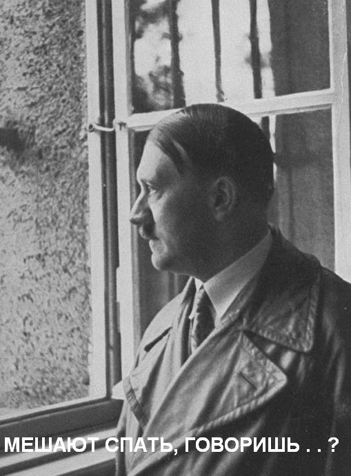 Сталин знает, что делать