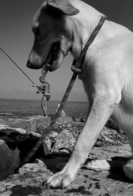 Подборка забавных и курьезных фотографий