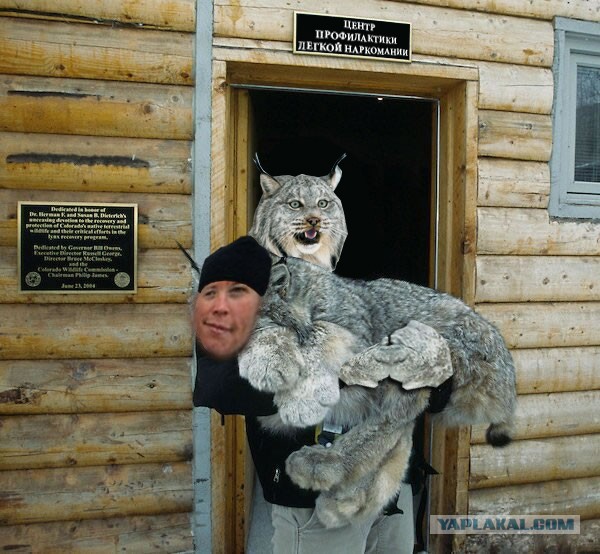Симпатичный пушистик, пока спит.