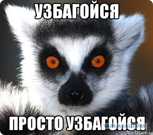 3 дня в Грузии