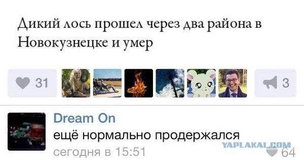 Комменты из соцсетей