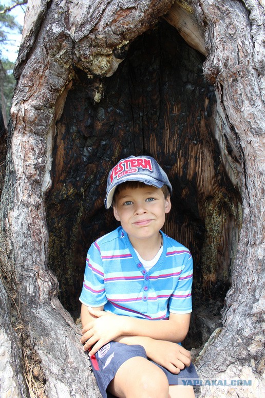 Дорога из Киева и из Москвы в Ялту.