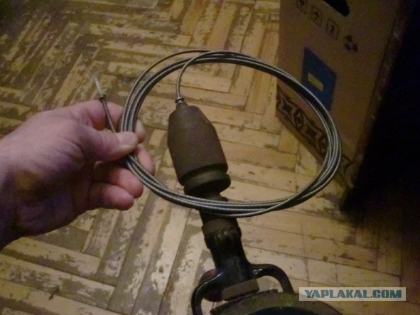 А что у вас "растет" в сливе в ванной?