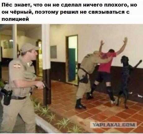 Абсолютно сумасшедшая драка