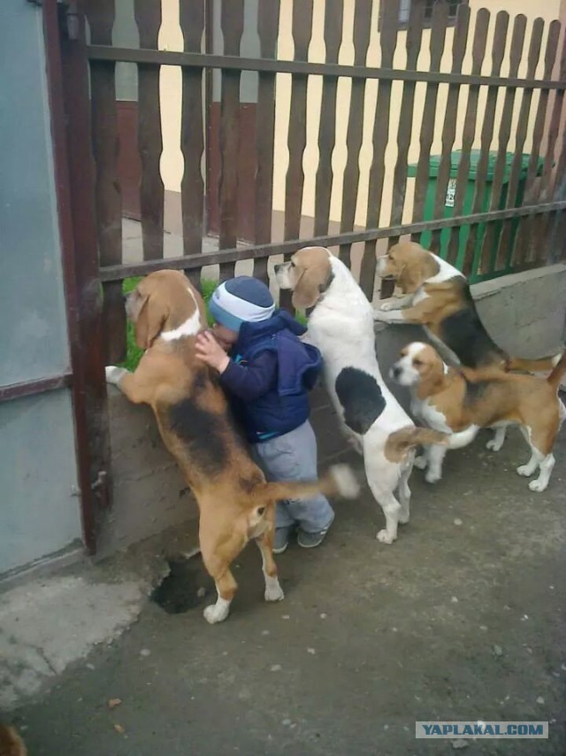 Социальные сети...
