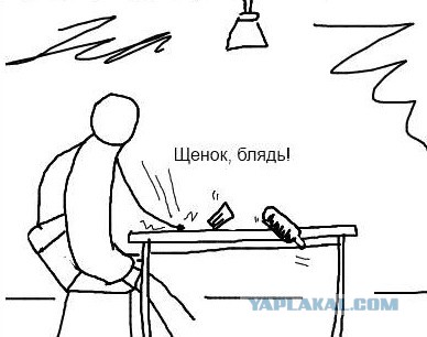 Медведев ограничит численность скота у населения
