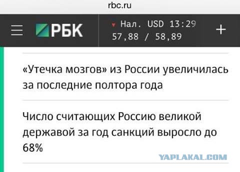 Печаль -тоска зеленая..