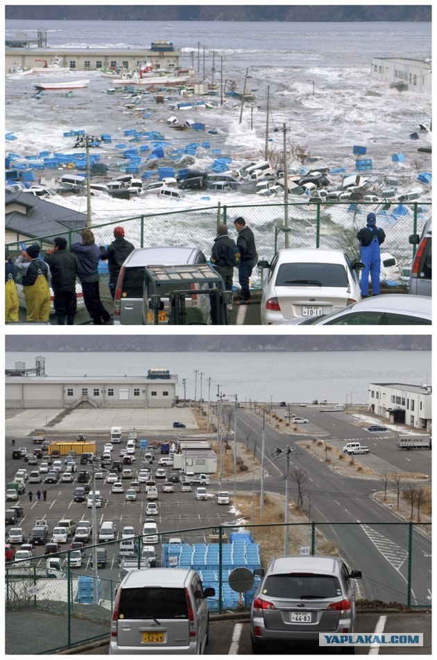 Tsunami: год спустя.