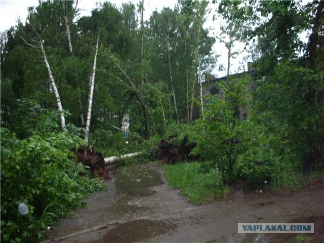 В Ярославле погулял смерч