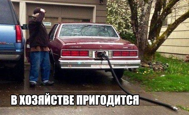 Забавные картинки из Сети