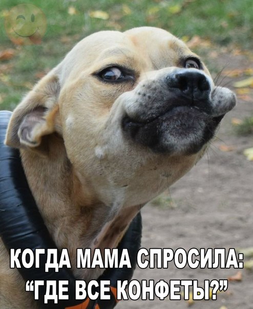 Картинки и демотиваторы