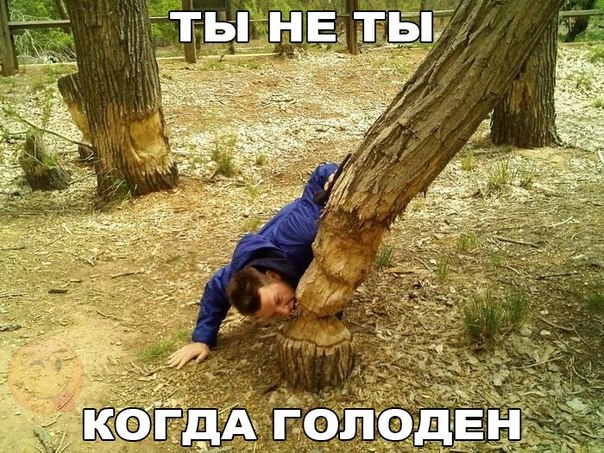 Веселые картинки.