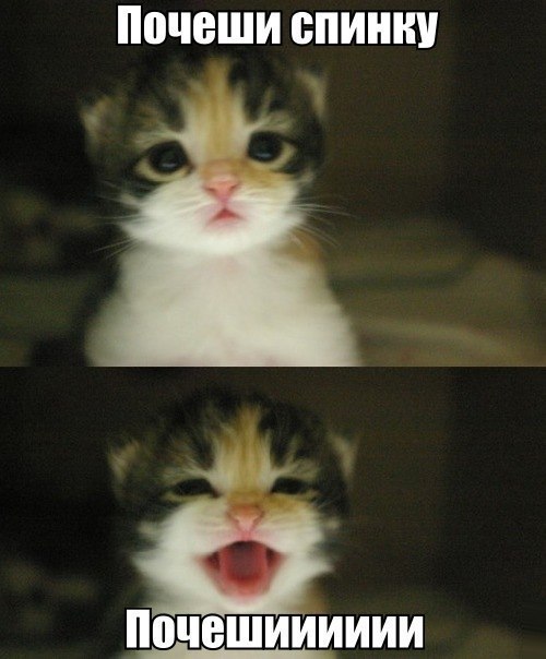 Разные картинки