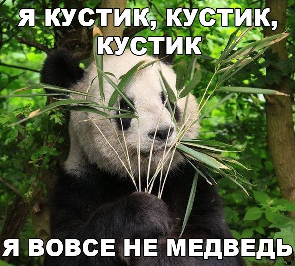 Мохнатые беспредельщики