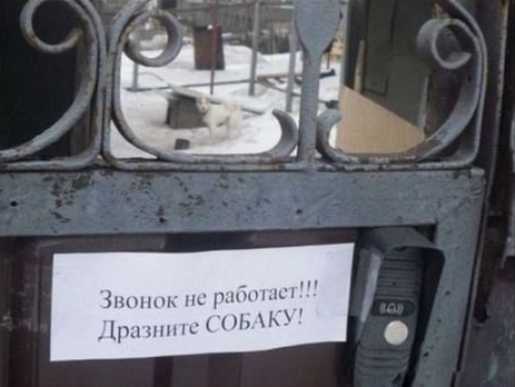 Прикольные надписи и объявления