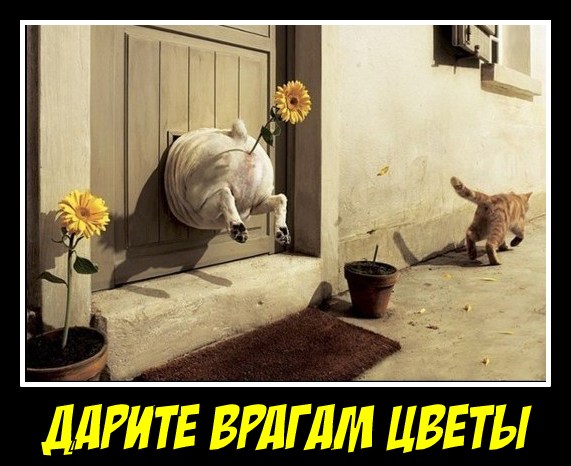 Немного политического юмора
