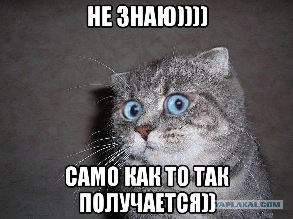 Когда заходил сосед в гости