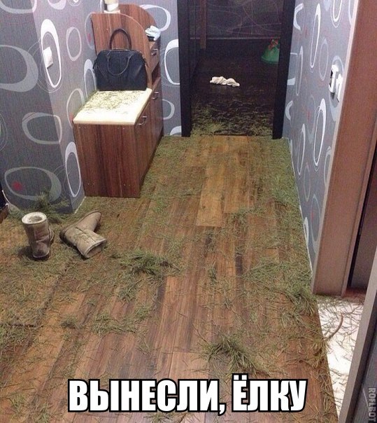 Подборка безудержного веселья