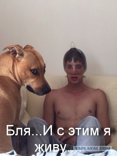 Юмор не для всех