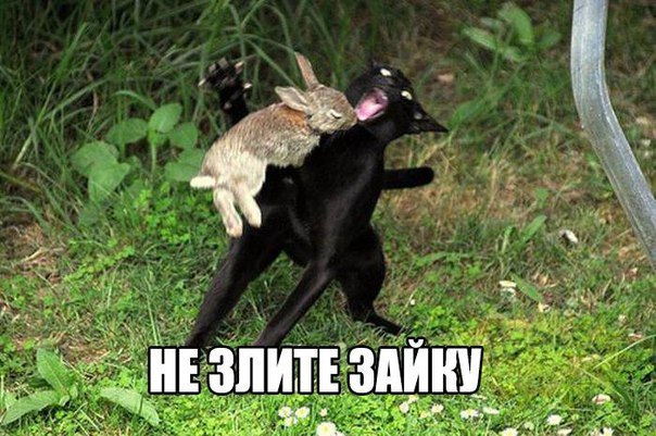 Подборка интересных и веселых картинок